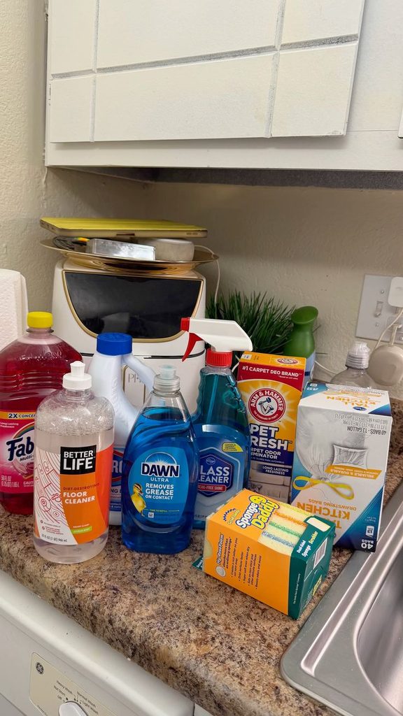 Household Cleaning Products